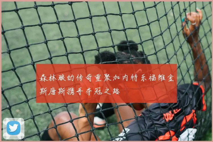 森林狼的传奇重聚加内特乐福维金斯唐斯携手夺冠之路