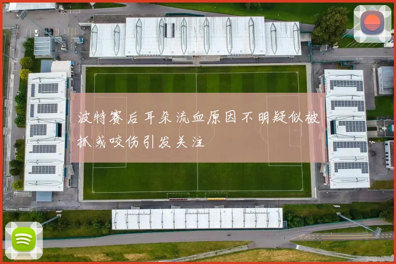 波特赛后耳朵流血原因不明疑似被抓或咬伤引发关注